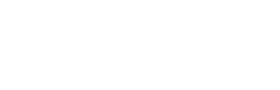 Zane Finance